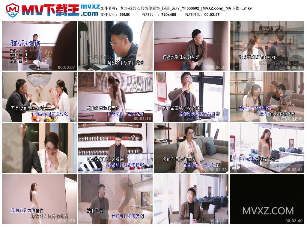 老龙-我的心只为你而伤_国语_流行_YF500692